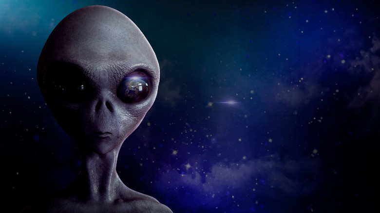 кадр из фильма We Are Not Alone