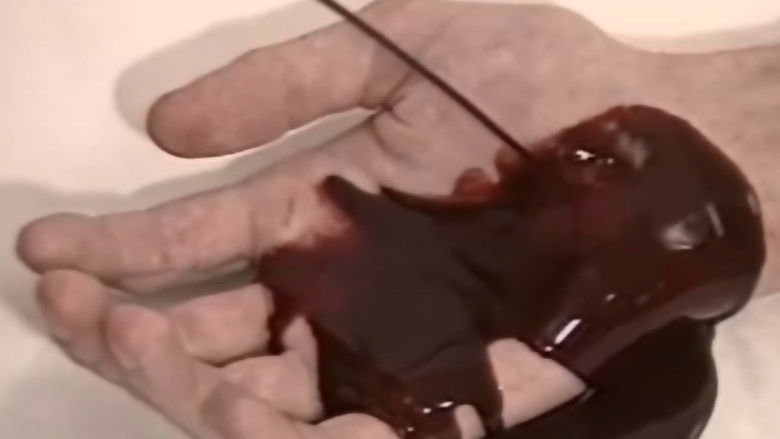 кадр из фильма The Action Art of Hermann Nitsch from Past to Present