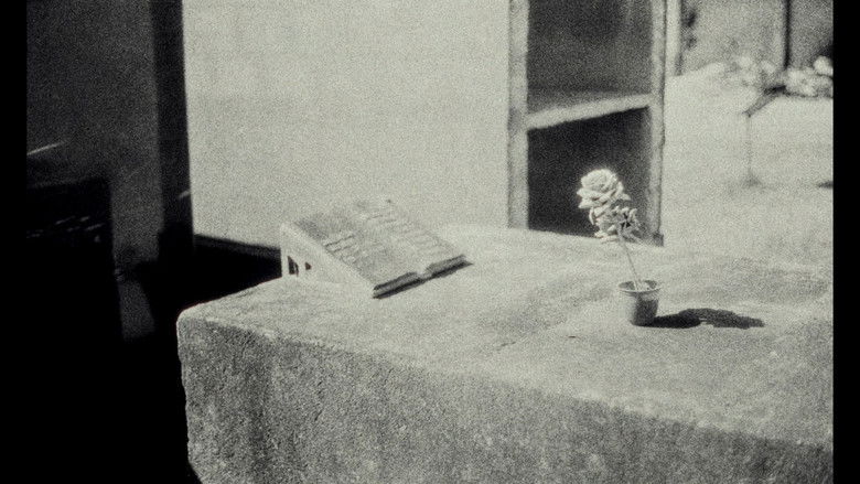 кадр из фильма Ouço Uma Cidade