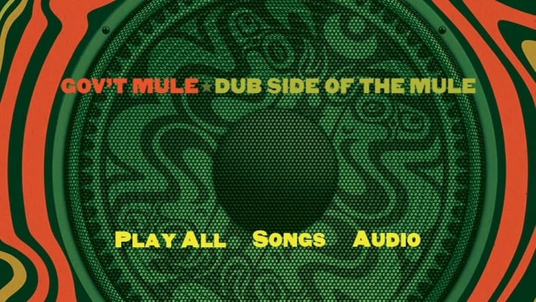 кадр из фильма Gov't Mule: Dub Side of the Mule