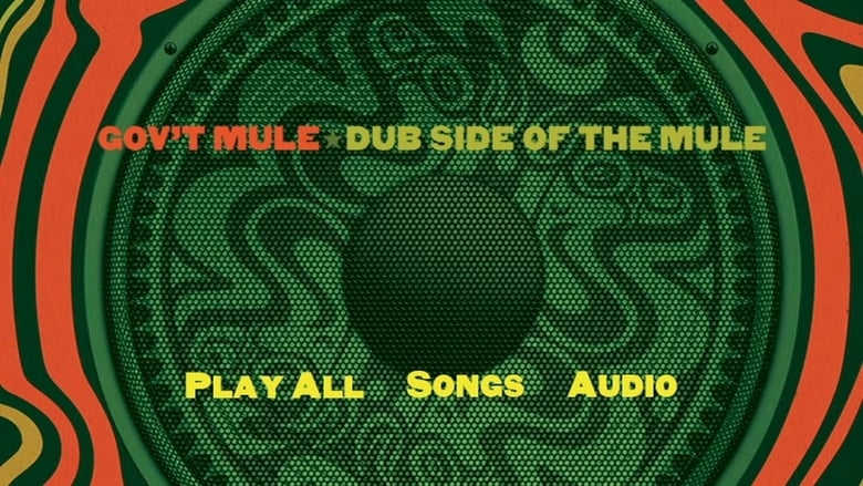 кадр из фильма Gov't Mule: Dub Side of the Mule