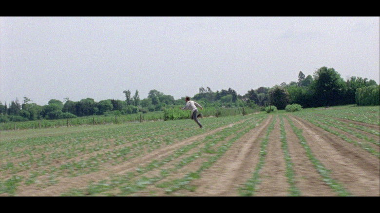 кадр из фильма Sunny Life Farms