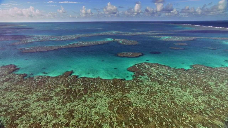 кадр из фильма Дом. История путешествия