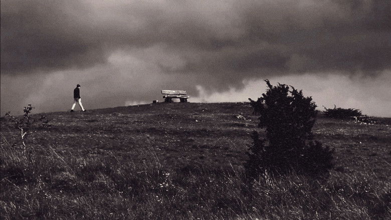 кадр из фильма The Bizarre Reparation of Guilt