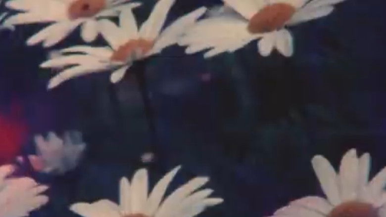 кадр из фильма Ofrenda