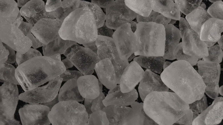 кадр из фильма sonic salt