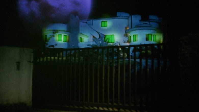 кадр из фильма Чёрная кошка