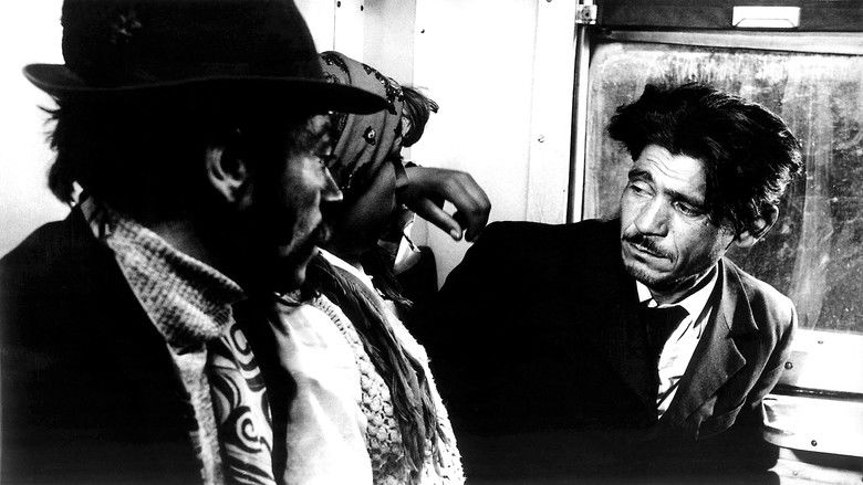 кадр из фильма Koportos