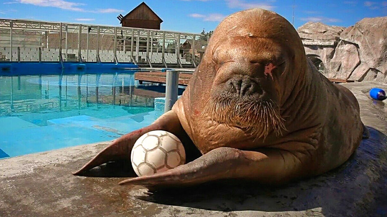 кадр из фильма Несейка. Младшая дочь