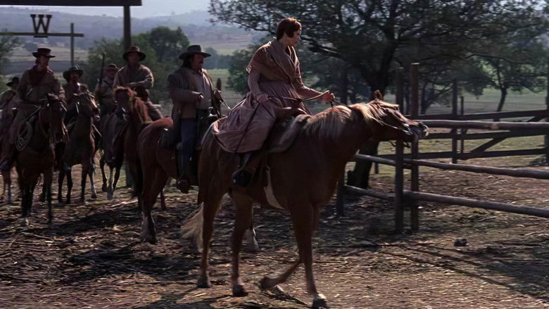 кадр из фильма Король Техаса