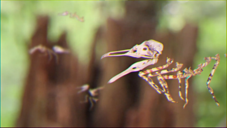 кадр из фильма Bestiary Unknown