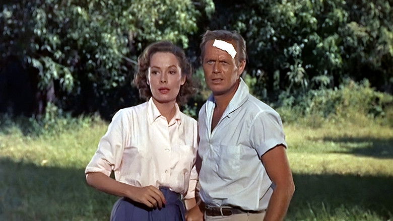 кадр из фильма К солнцу