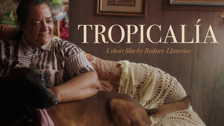 кадр из фильма Tropicalía