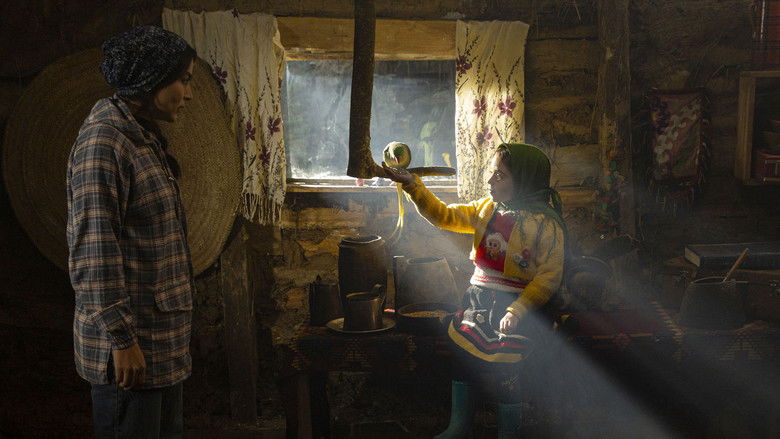 кадр из фильма Melody