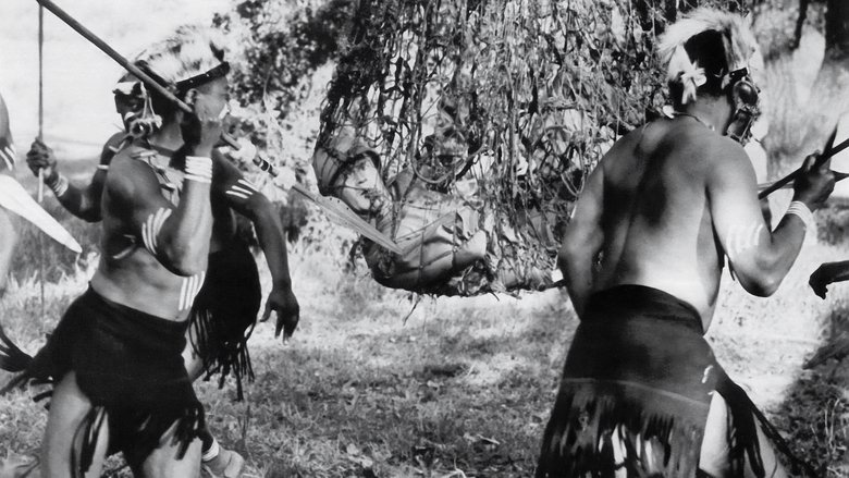 кадр из фильма Пять недель на воздушном шаре