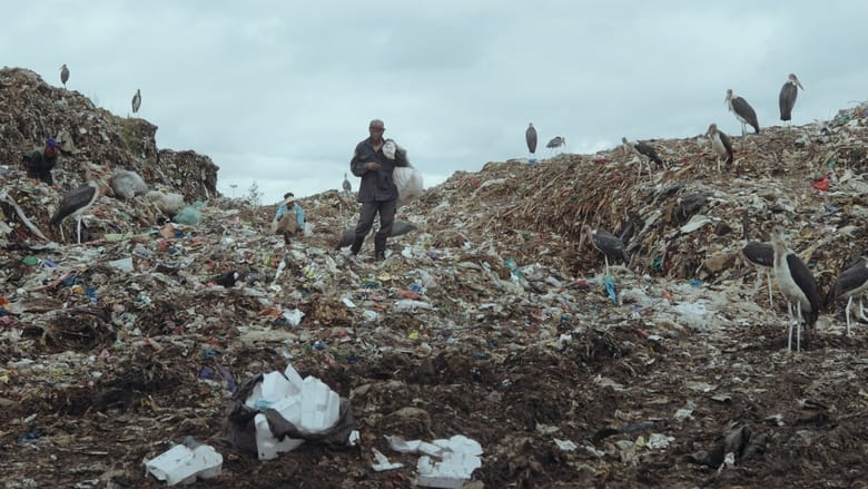 кадр из фильма Terra Mater - Motherland