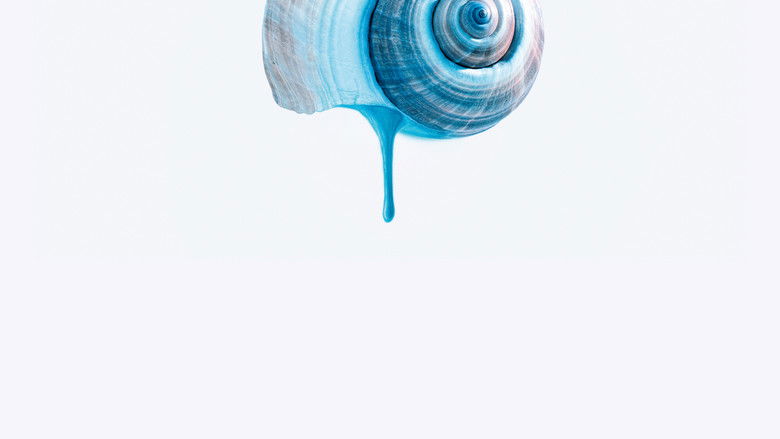 кадр из фильма O Último Azul