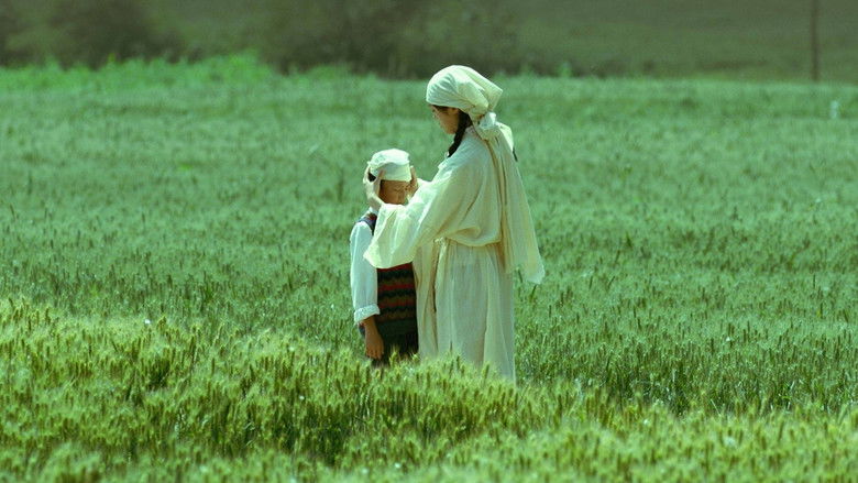 кадр из фильма 生息之地