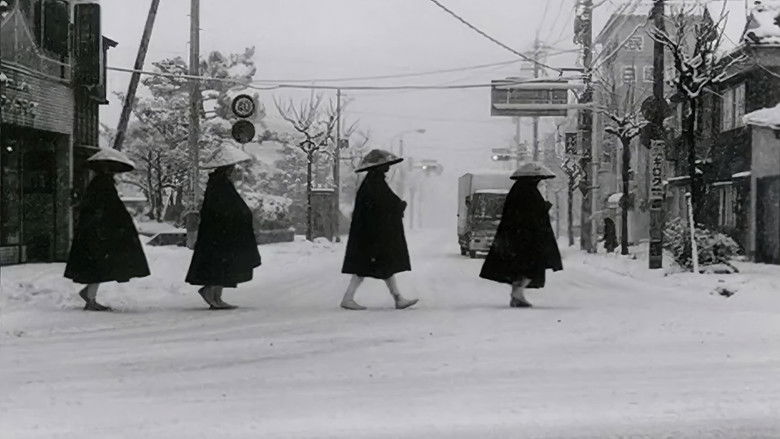 кадр из фильма 生まれた場所