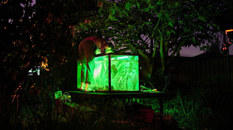 кадр из фильма The Water Of The Womb