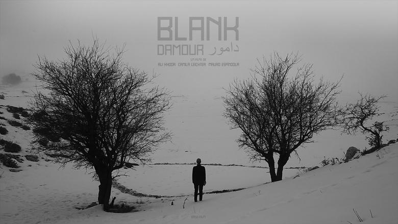 Blank Damour