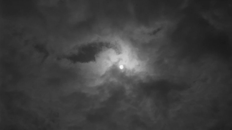 кадр из фильма Летят журавли