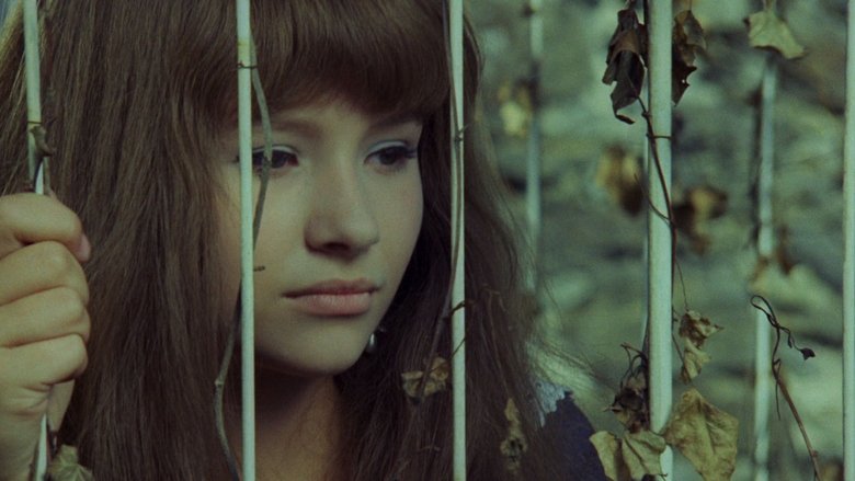 кадр из фильма Валери и неделя чудес