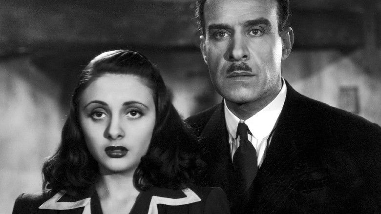 Окрестности