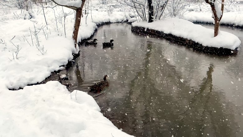 кадр из фильма reBUILDING PALANGA