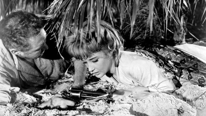 кадр из фильма Восточный Судан