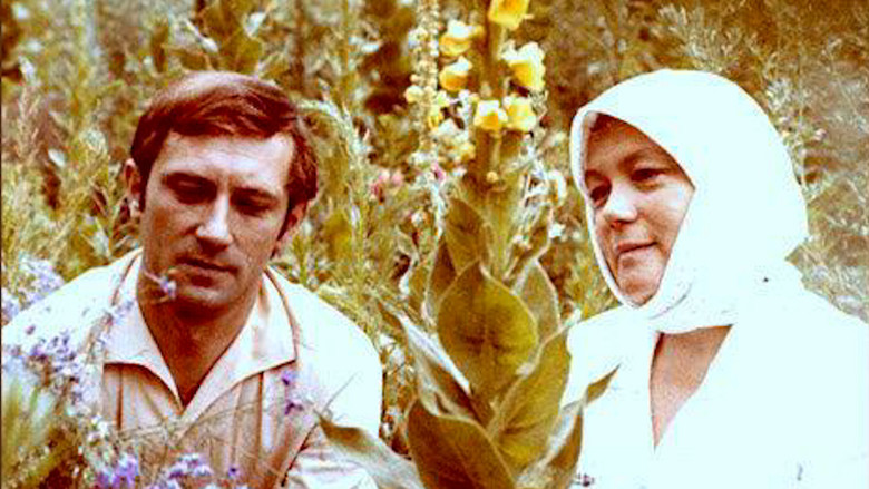 кадр из фильма Серед літа