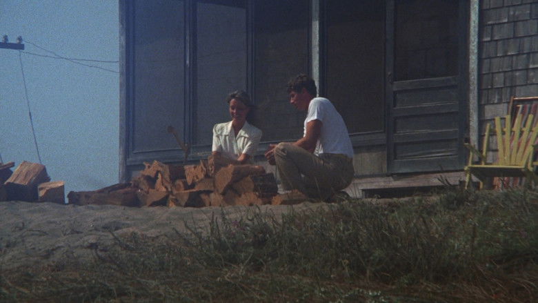 кадр из фильма Лето 42-го