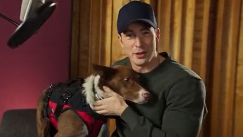 кадр из фильма Суперсобаки