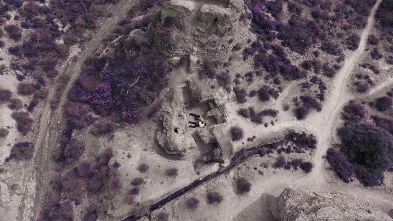 кадр из фильма Violetas