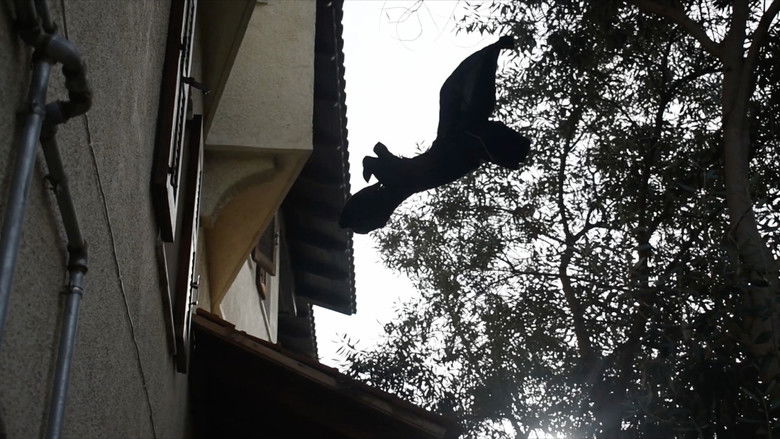 кадр из фильма Miss understanding