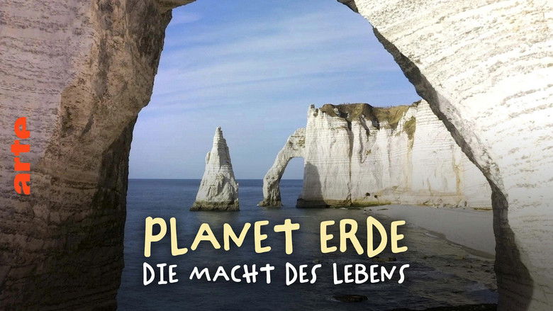 кадр из фильма Terre, Les Forces du Vivant