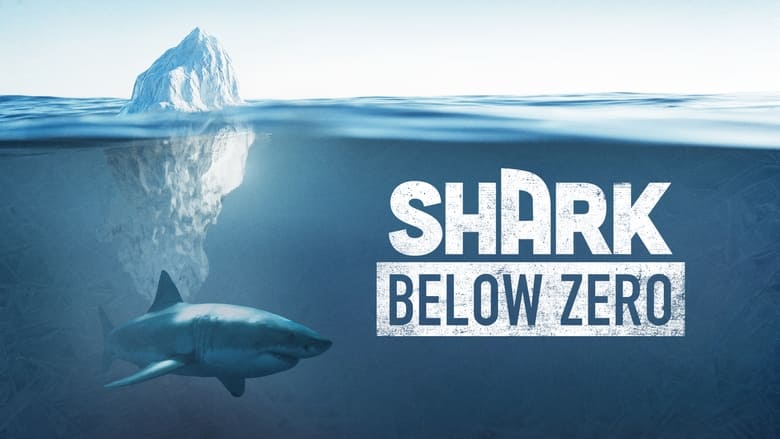 кадр из фильма Shark Below Zero