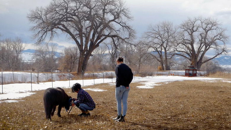 кадр из фильма The Healing Animal