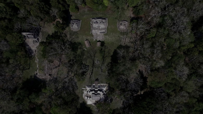 кадр из фильма Le Premier Mouvement de l'immobile