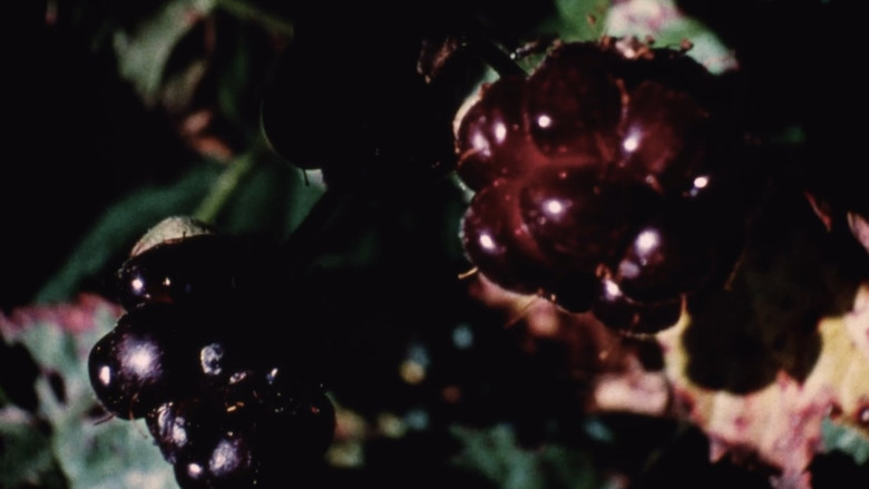 кадр из фильма Triste