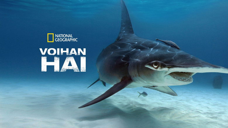 кадр из фильма What the Shark?