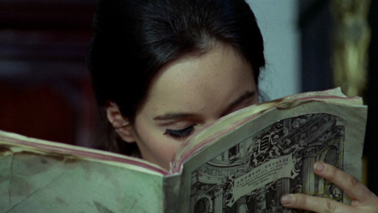 кадр из фильма La Madriguera