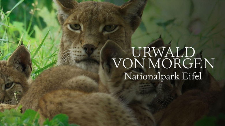 кадр из фильма Urwald von morgen – Nationalpark Eifel