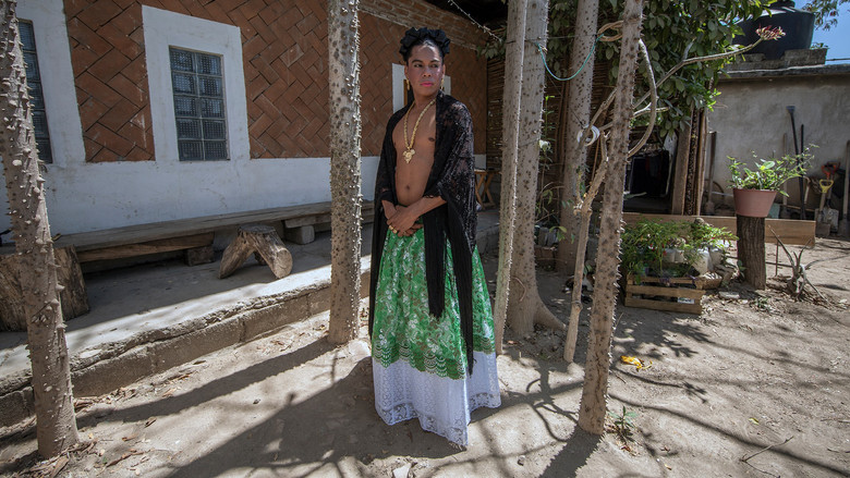 кадр из фильма La Utopía de la Mariposa