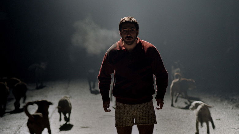 кадр из фильма Безумие