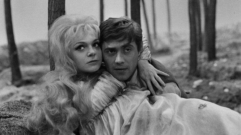 кадр из фильма Princezna Pampeliška