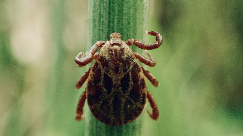 кадр из фильма La pègre animale: la vie secrète des parasites