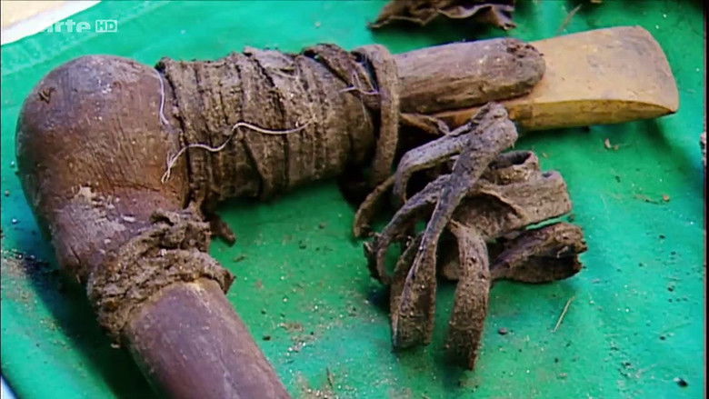 кадр из фильма NOVA: Iceman Reborn