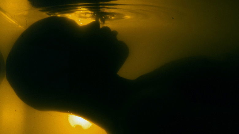 кадр из фильма Forged Obscenities