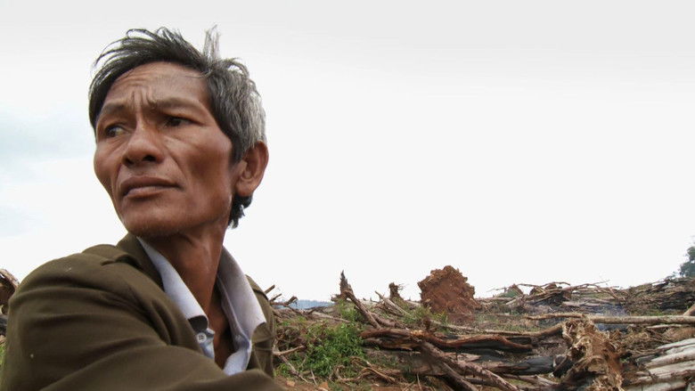 кадр из фильма Mirr